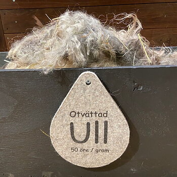 Otvättad Gotlandsull