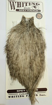 Whiting Spey Hackle Cape Bronze - Variant