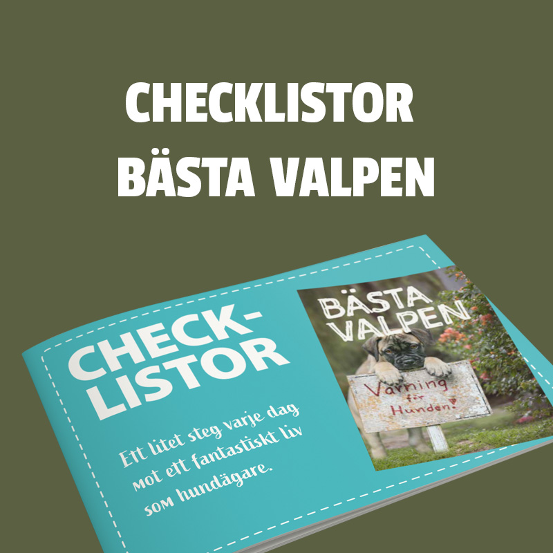 Check list Bästa Valpen