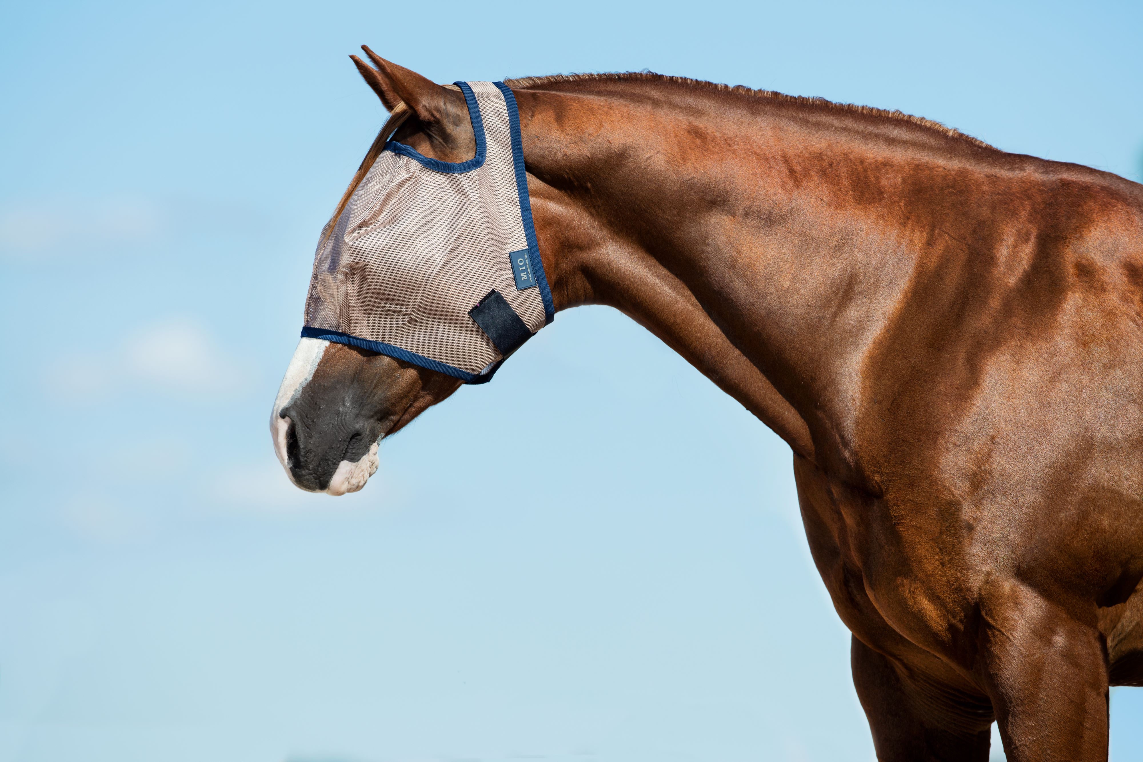 Horseware Mio Kärpäshuppu (Ilman korvia) - Pronssi/Sininen - 2