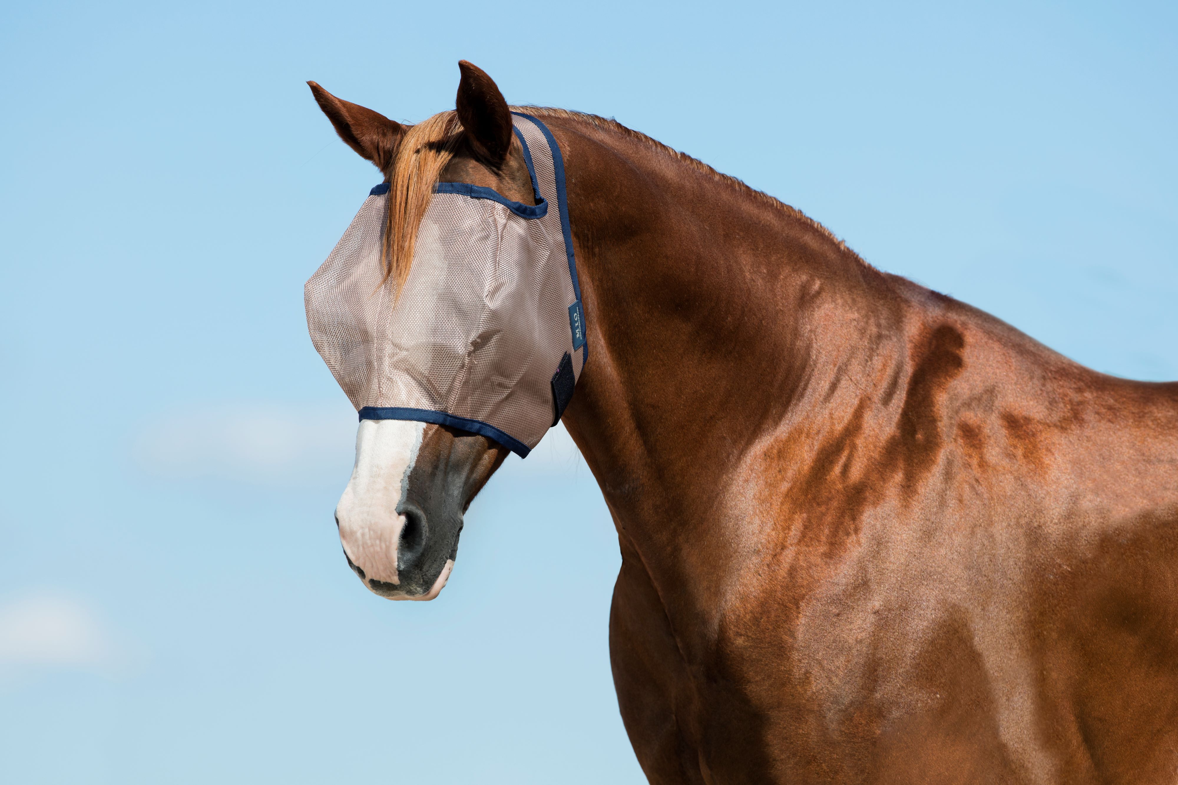 Horseware Mio Kärpäshuppu (Ilman korvia) - Pronssi/Sininen