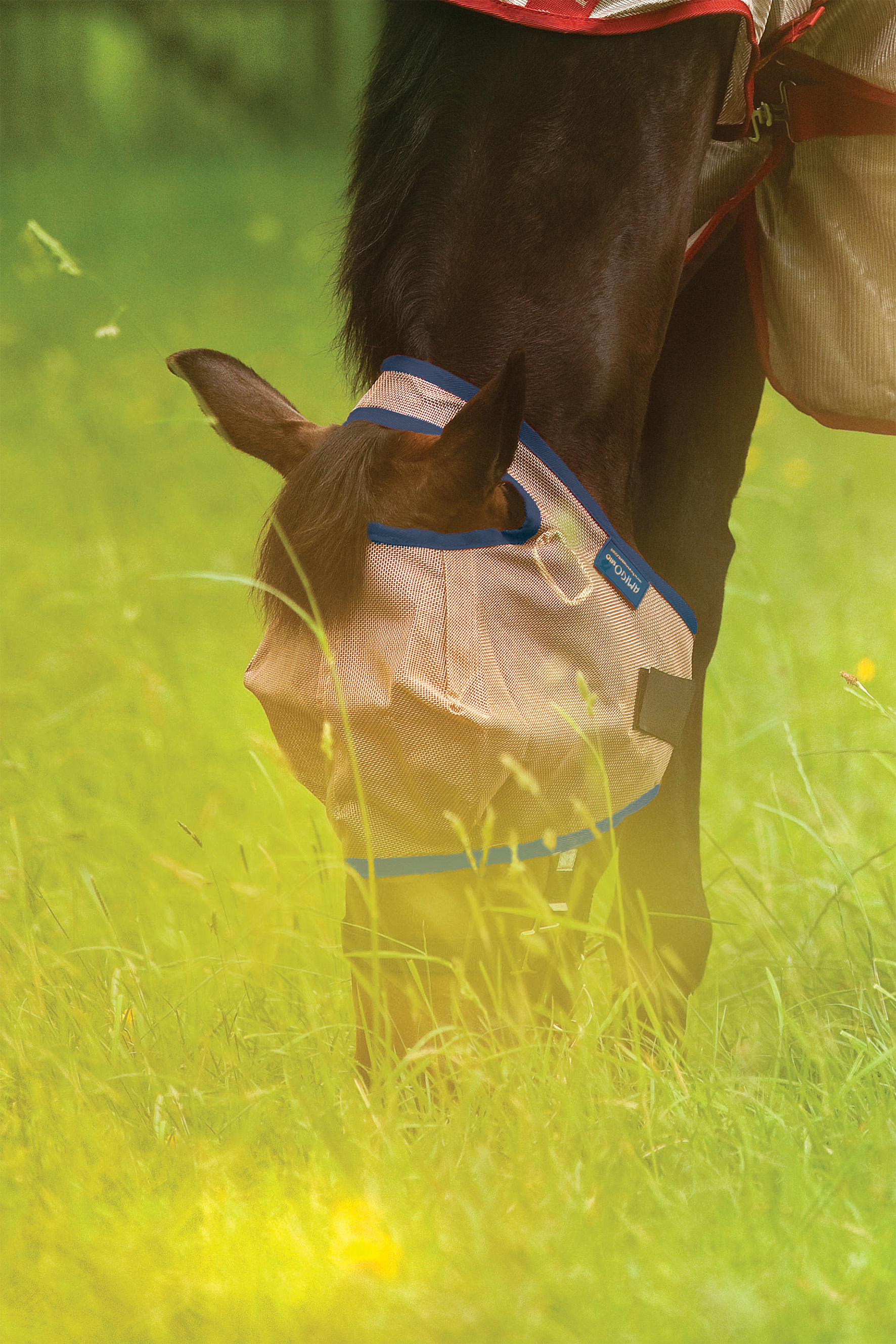 Horseware Mio Kärpäshuppu (Ilman korvia) - Pronssi/Sininen - 3