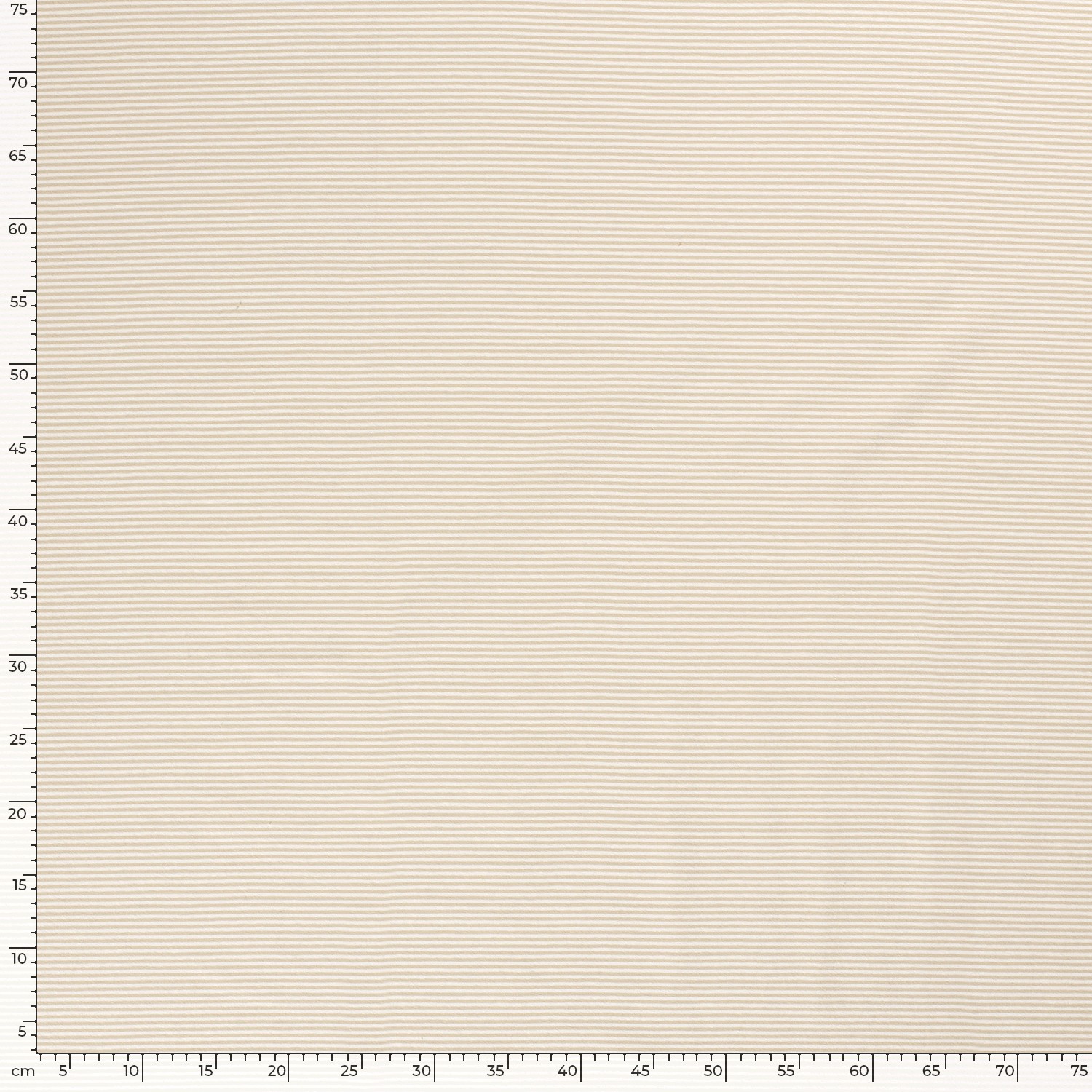 STRIPES 2.5 - SAND - 5
