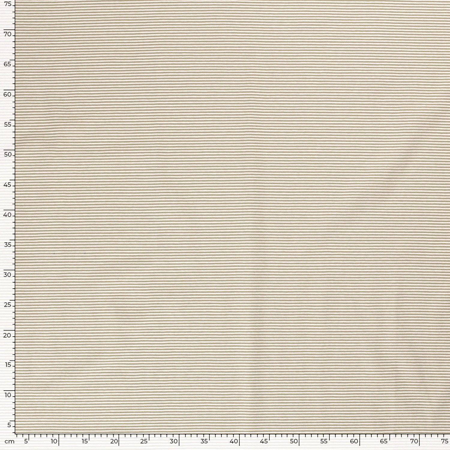 STRIPES 2.5 - BEIGE - 3