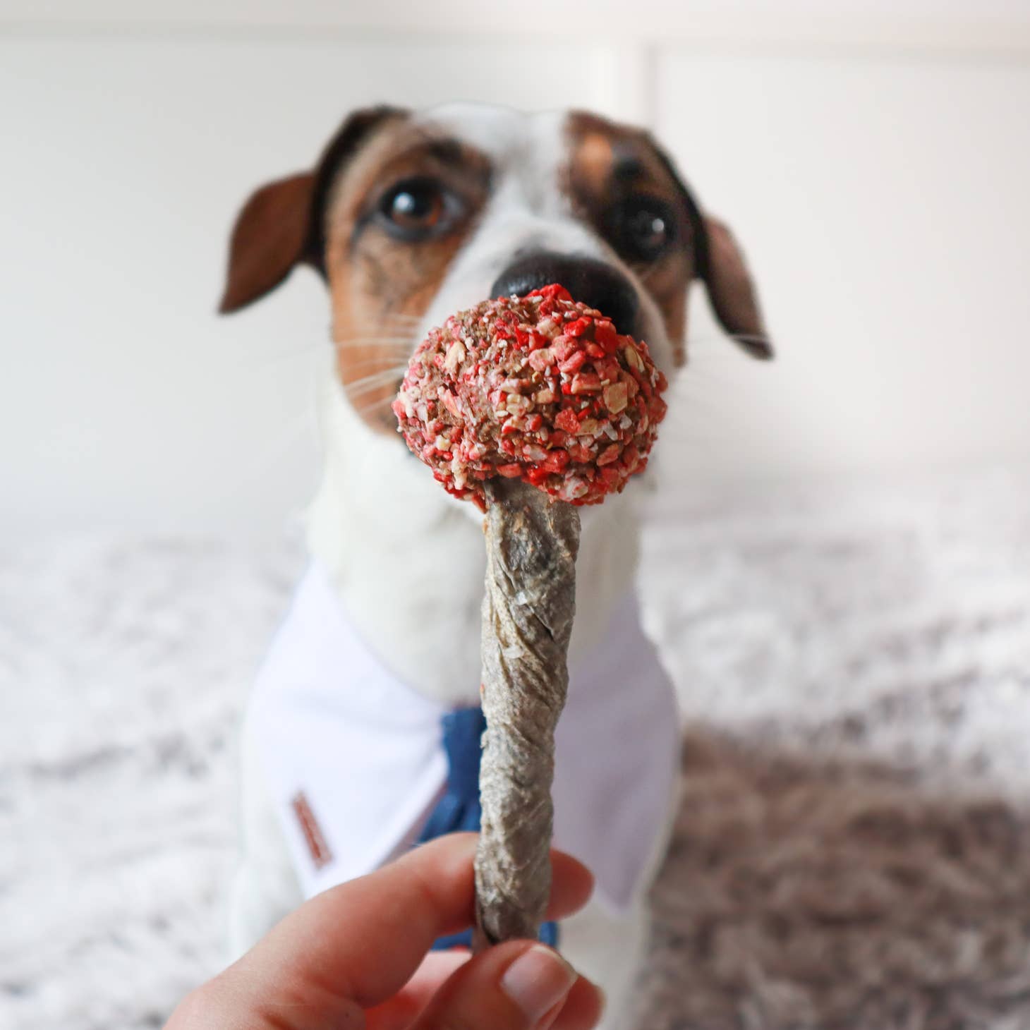 Cooka's Cookies Chewy Pop - 2