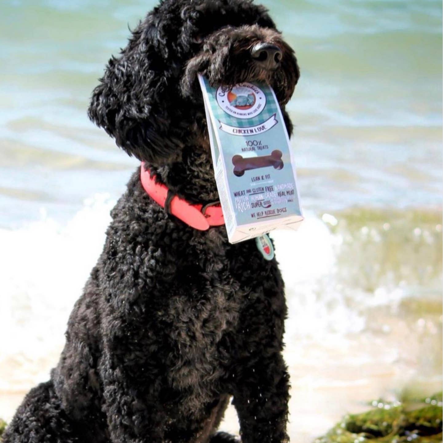Cooka's Cookies Chicken Love - Natural Dog Treats - 3