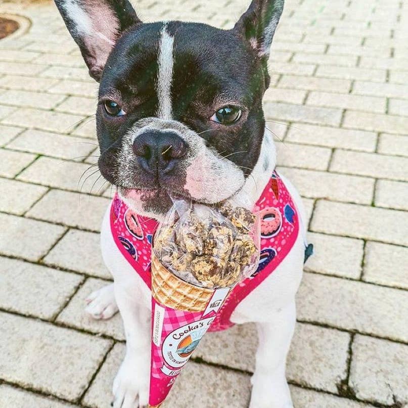 Cooka's Cookies BEIJINHOS DE VACA - Little Beef Kisses - Natural dog treats - 3