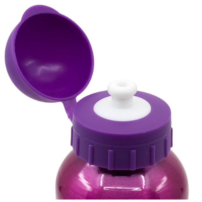 Paw Patrol Vattenflaska 530 ml Aluminium Girl - 3