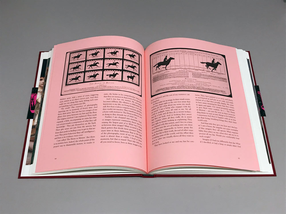 EvaMarie Lindahl: Resistance within the Museum Fauna - 4