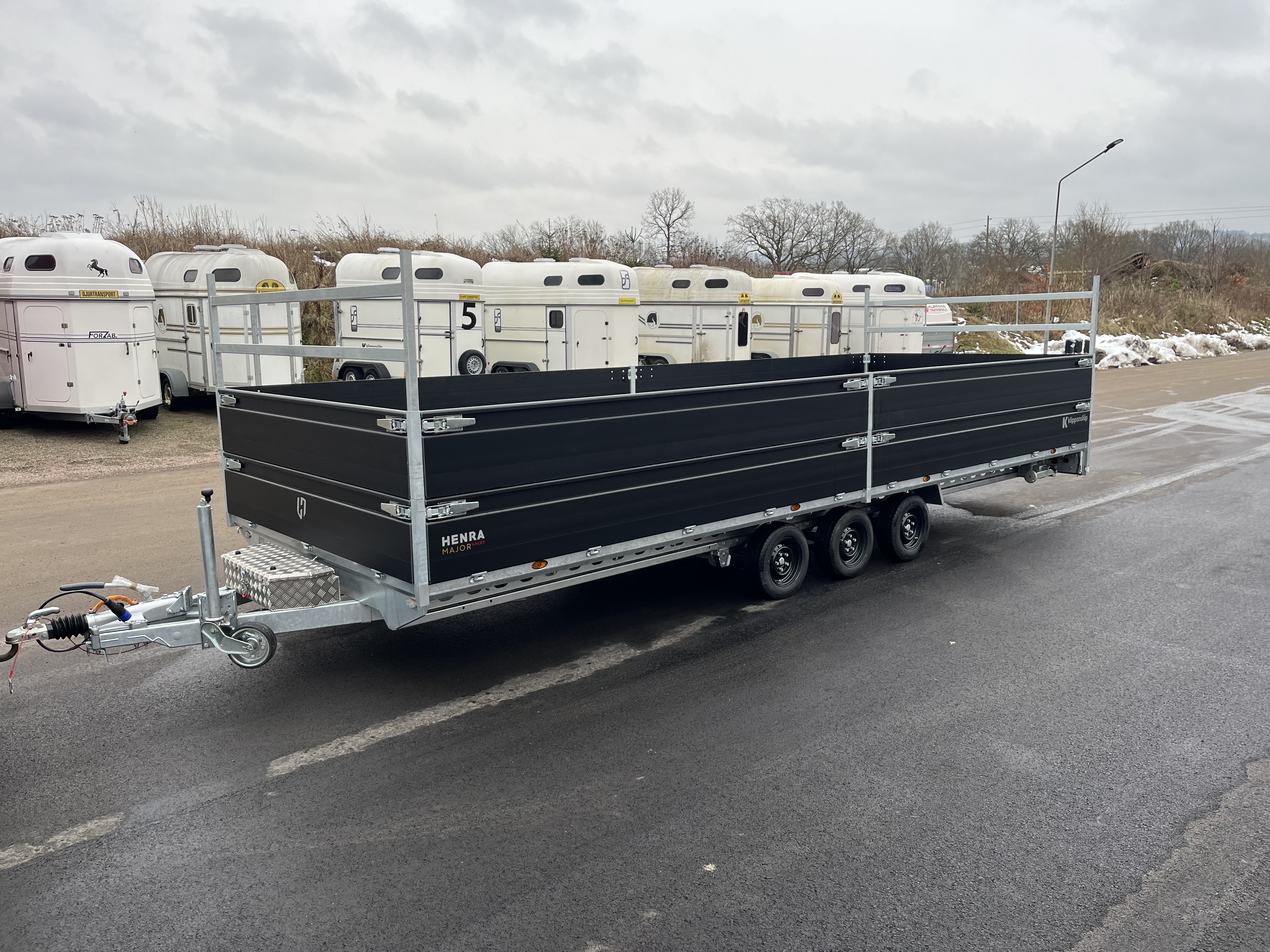 503 x 202 cm = 3500 kg = treaxlad Henra - 2