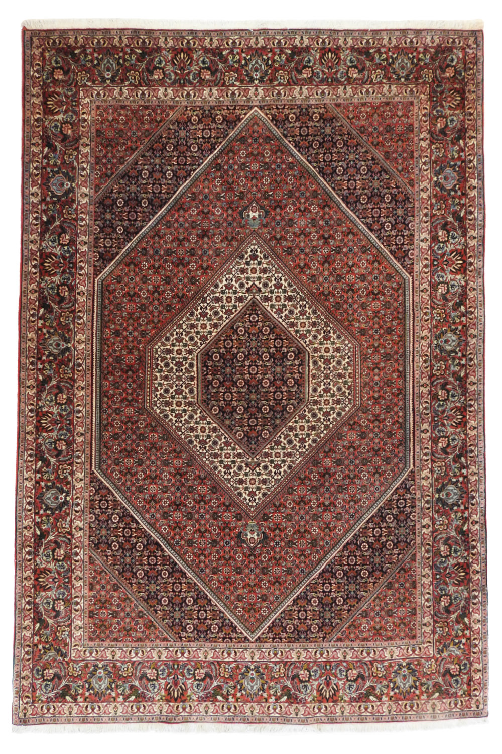 Bidjar 207x297cm