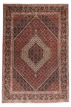 Bidjar 207x297cm