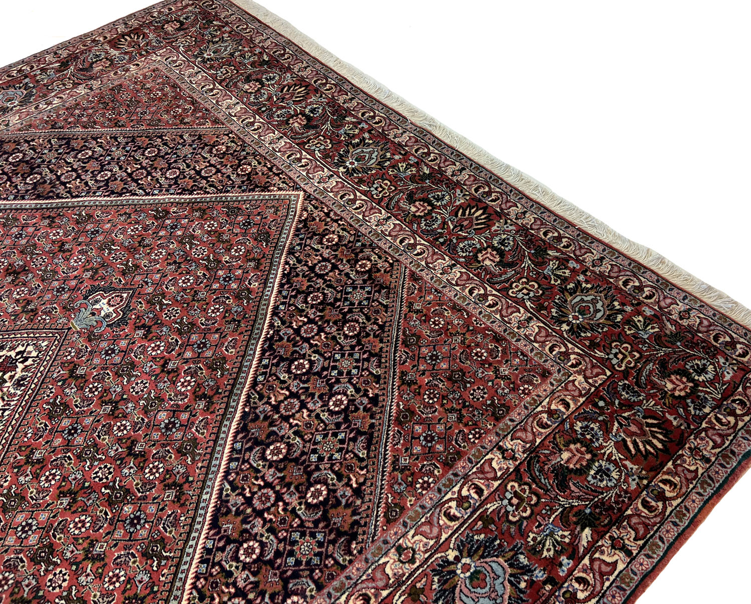 Bidjar 207x297cm - 3