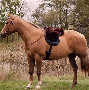 Barbackasadel syntetull- svart