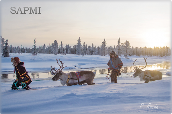 Kühlschrankmagnet Sapmi
