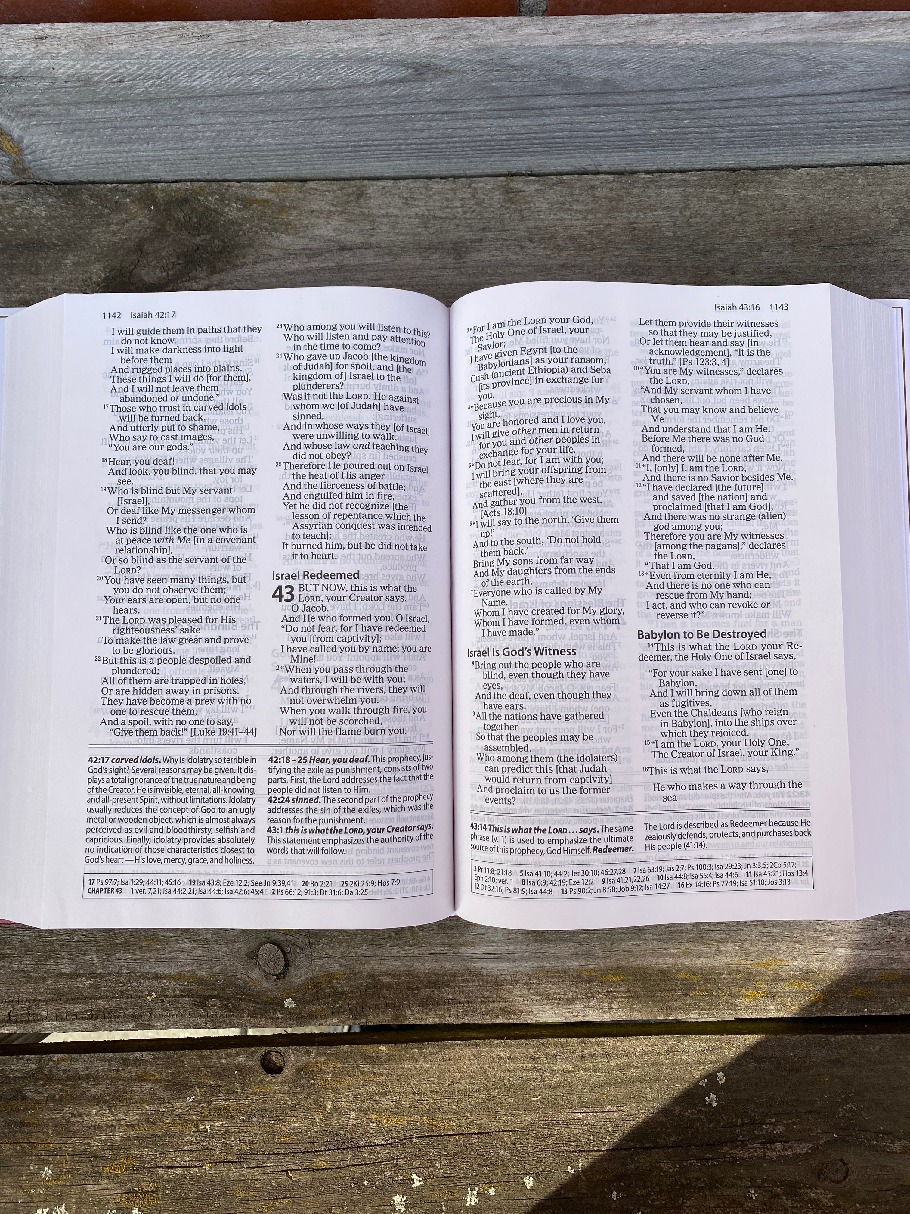 The Amplified Study Bible - 4