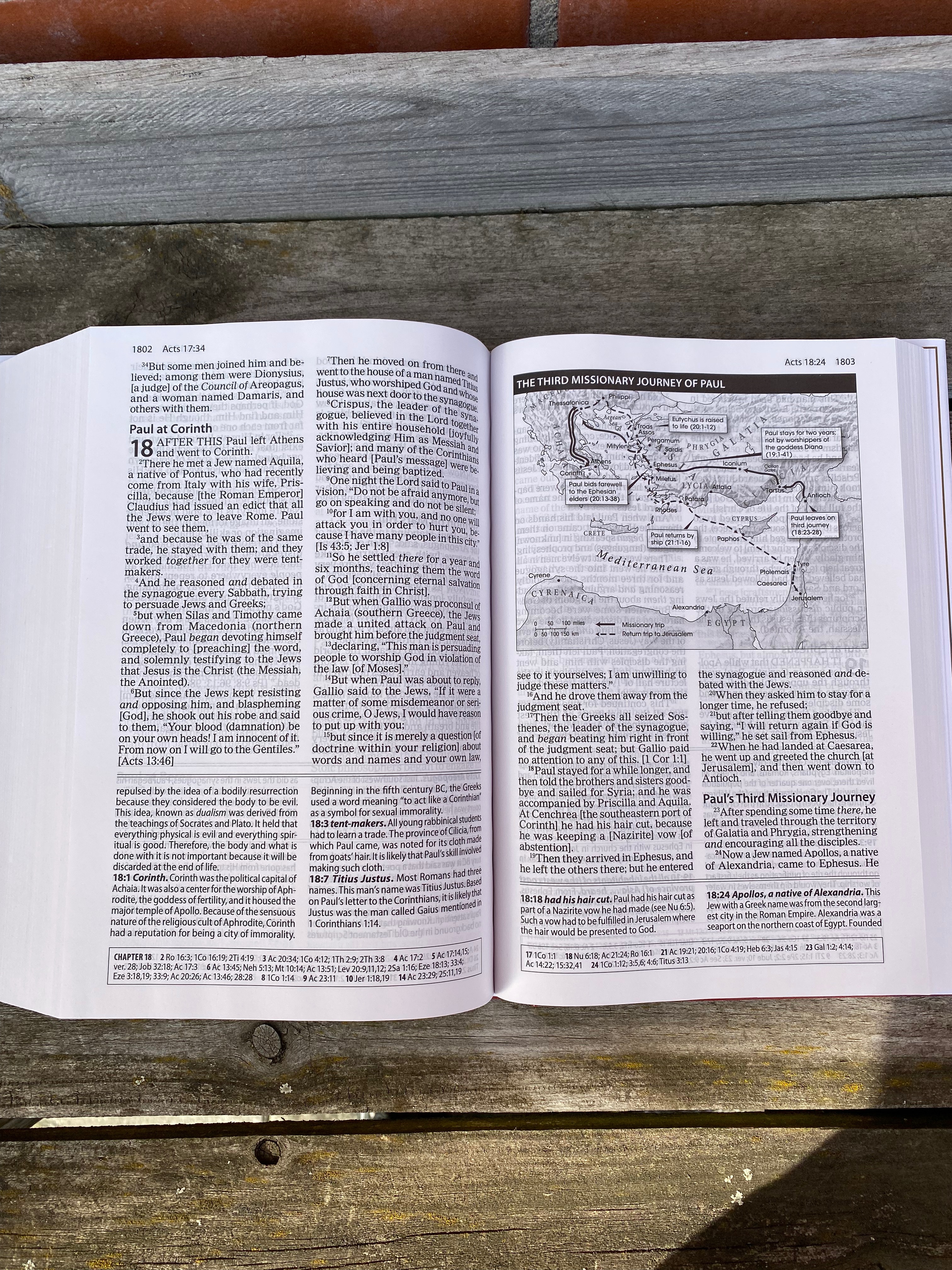 The Amplified Study Bible - 2