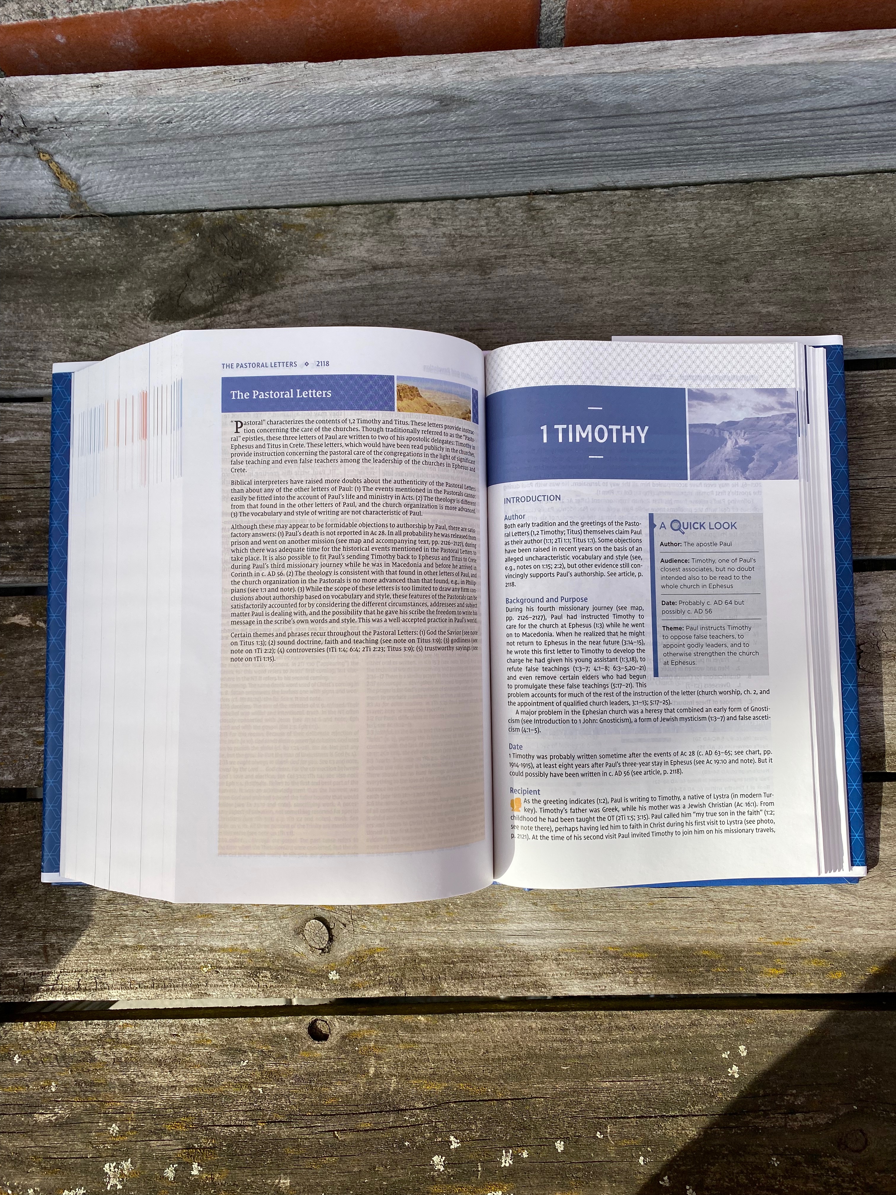 NIV Study Bible - Fully Revised Edition - 2