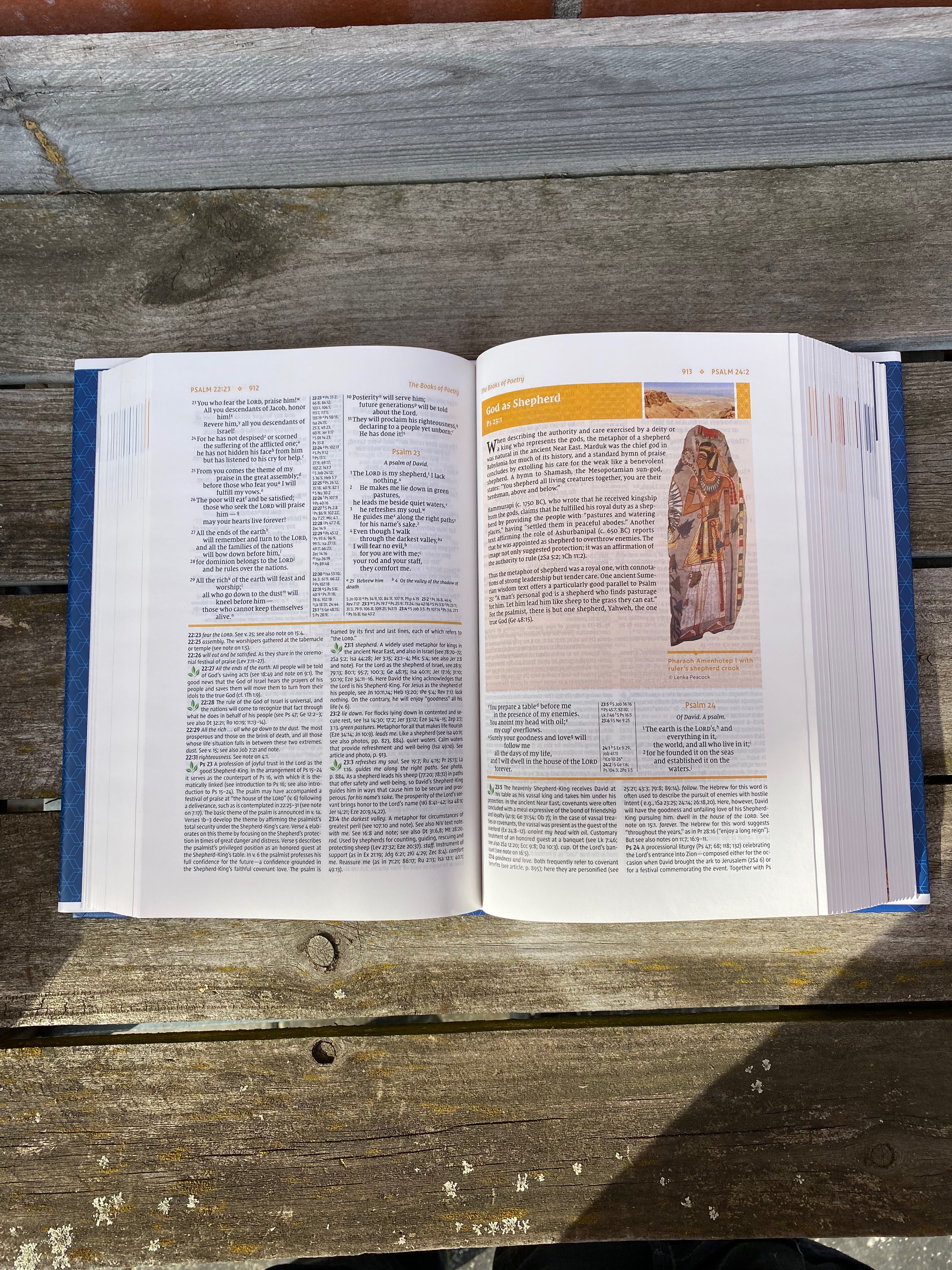 NIV Study Bible - Fully Revised Edition - 3