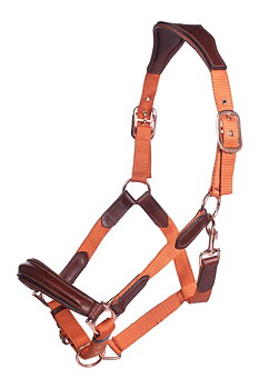 HKM Edinburgh Halter - Konjak