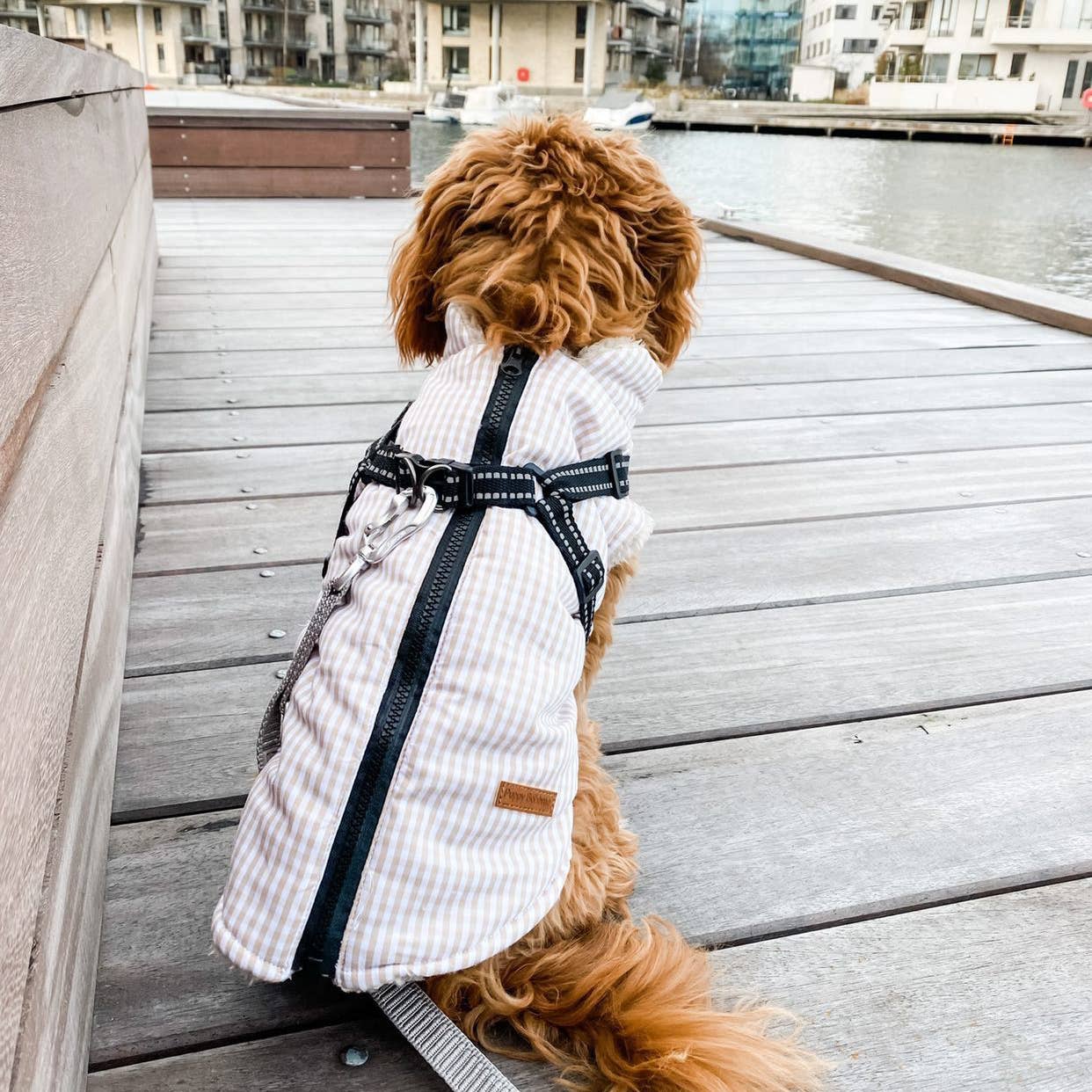 Puppy Bohème Jacket With Harness - Bailey - 2