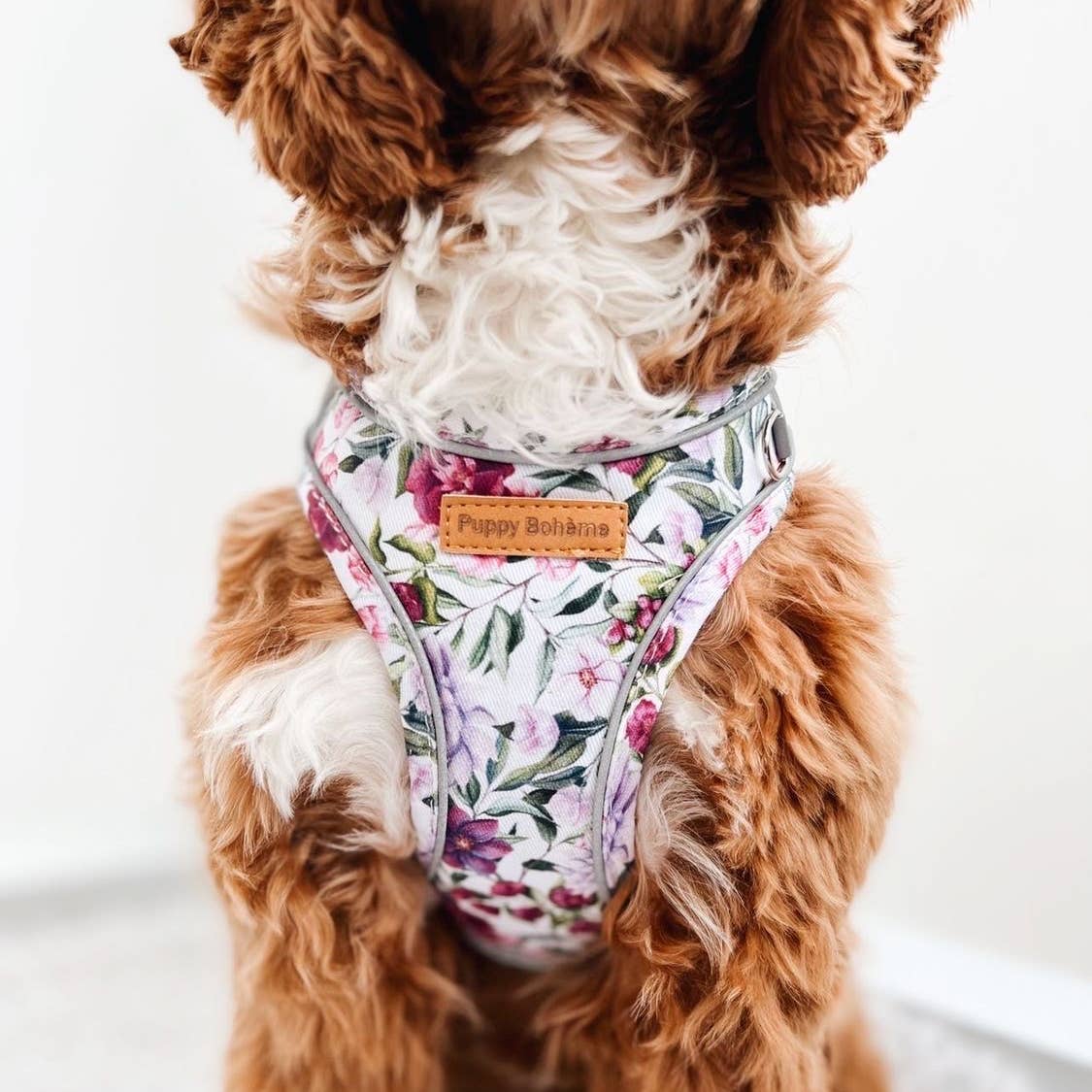 Puppy Bohème Viola Step-in Dog Harness - 2