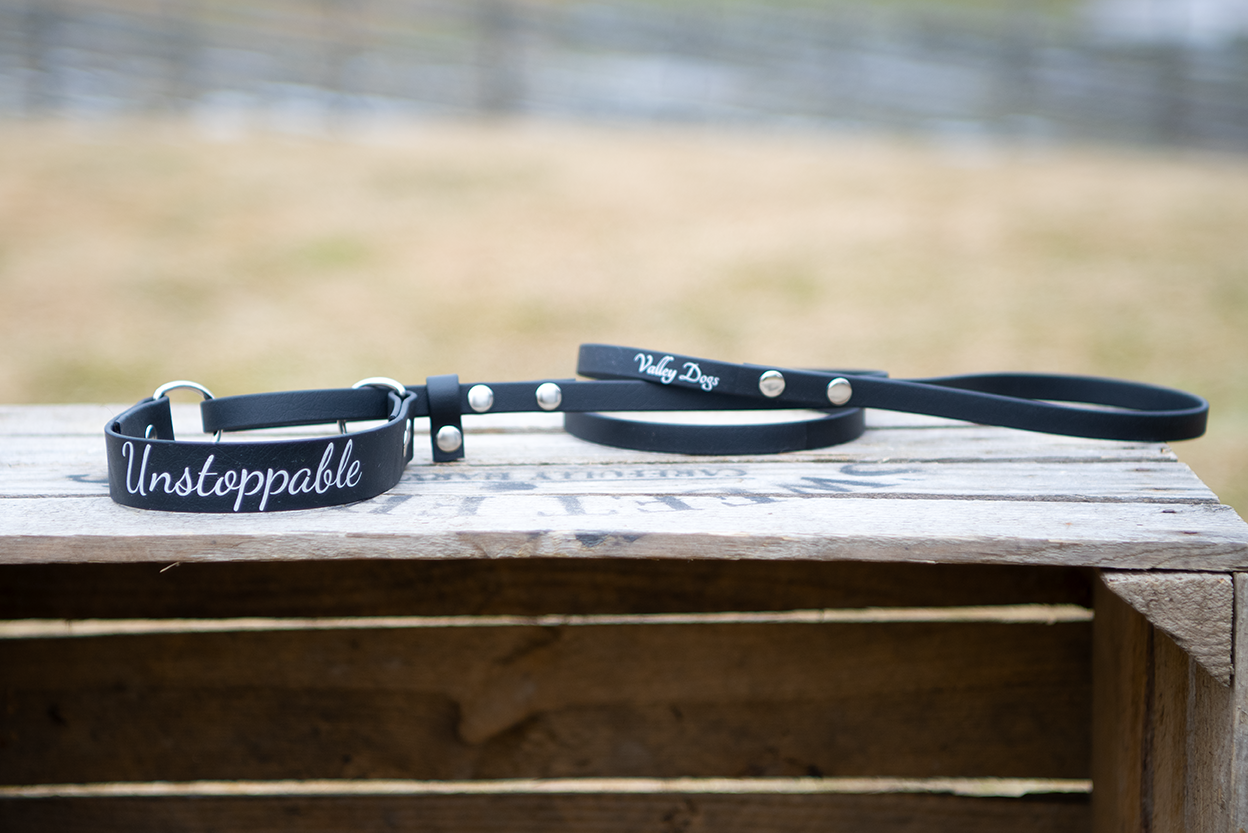 All-in-one-leash in BioThane Beta®