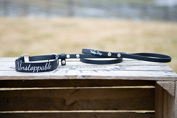 All-in-one-leash in BioThane Beta®