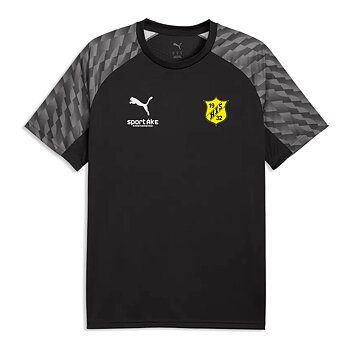 Puma TeamLiga 26 Jersey Jr (Hanaskog IS)