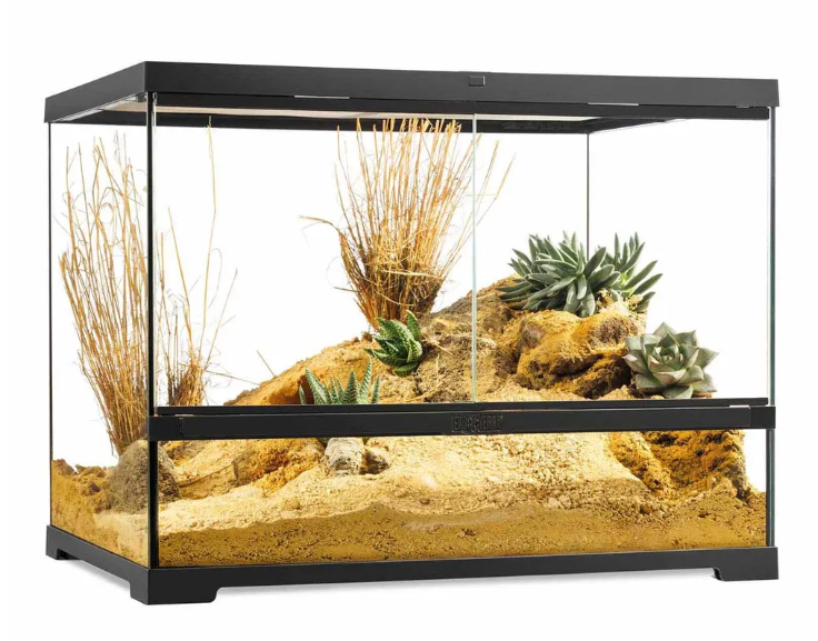 Terrarium Medium Wide Exoterra 60x45x45 cm
