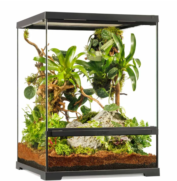 Terrarium Small Tall Exoterra 45x45x60 cm