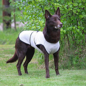 Kylväst till hund långhårig och korthårig