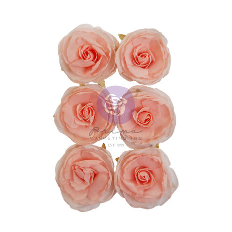 The Plant Department Flowers Peachy Keen (6pcs) - 2