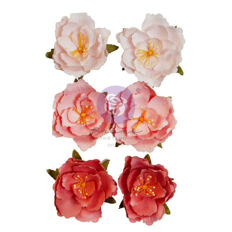 The Plant Department Flowers Rooted (6pcs) - 2