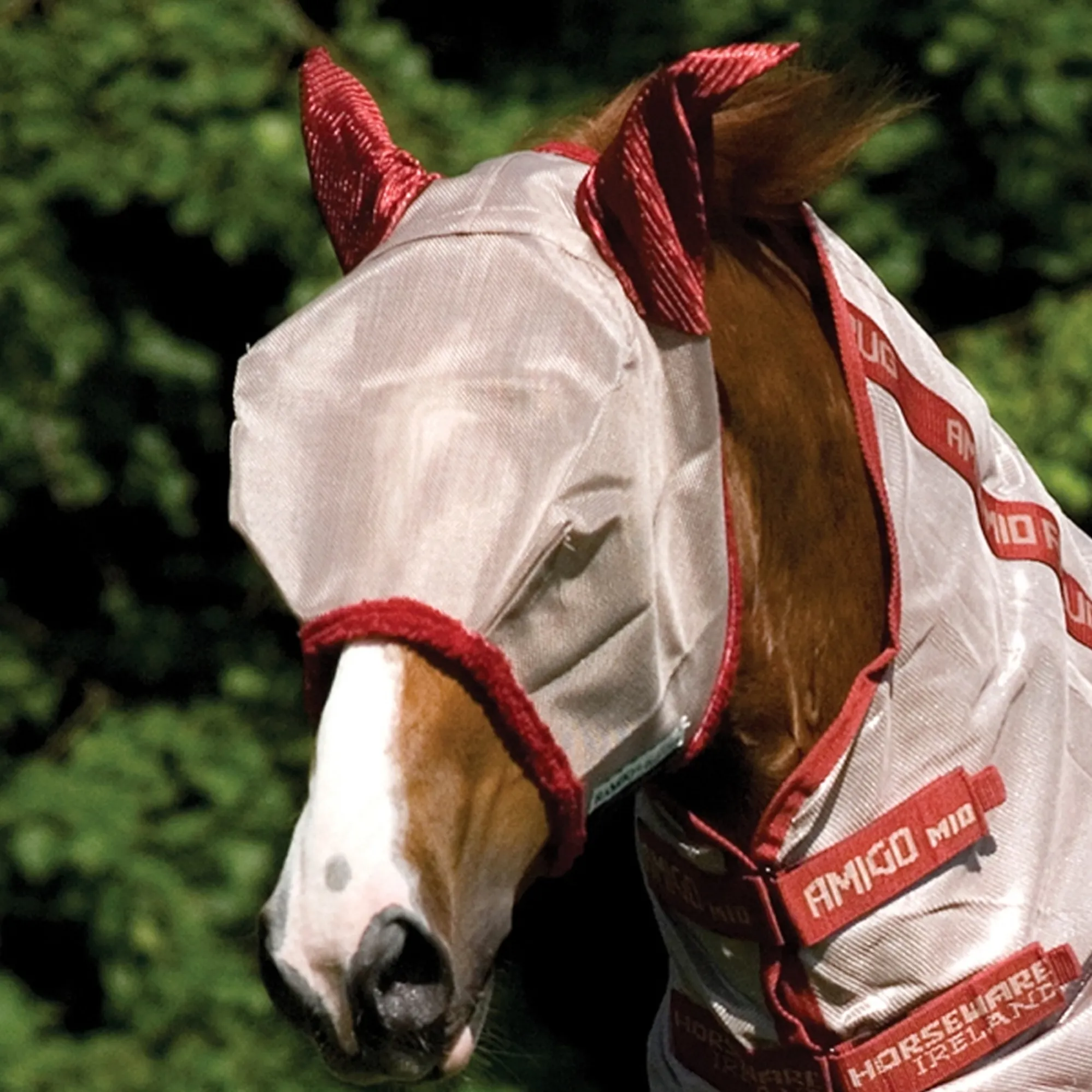 AMIGO FLUEMASKE UDGÅENDE FARVER - 12
