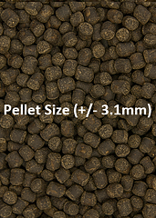 Ocean Nutrition - Cichlid Vegi Medium 200g