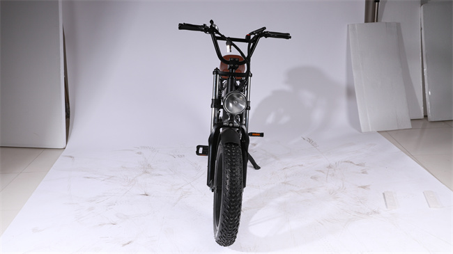 E 5 500W 48v 10ah  Bike 202305