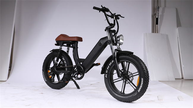 E 5 500W 48v 10ah  Bike 202305 - 4