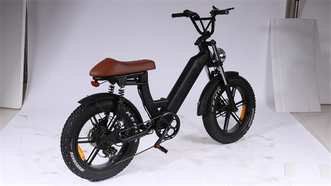 E 5 500W 48v 10ah  Bike 202305