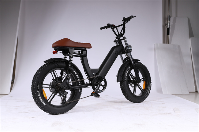 E 5 500W 48v 10ah  Bike 202305 - 5