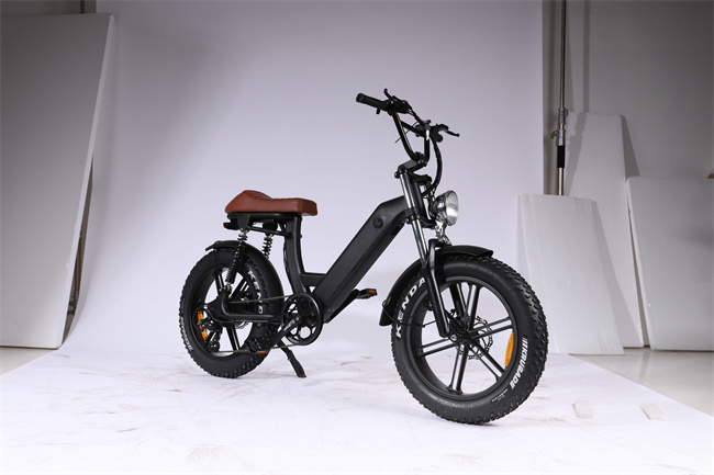 E 5 500W 48v 10ah  Bike 202305 - 10