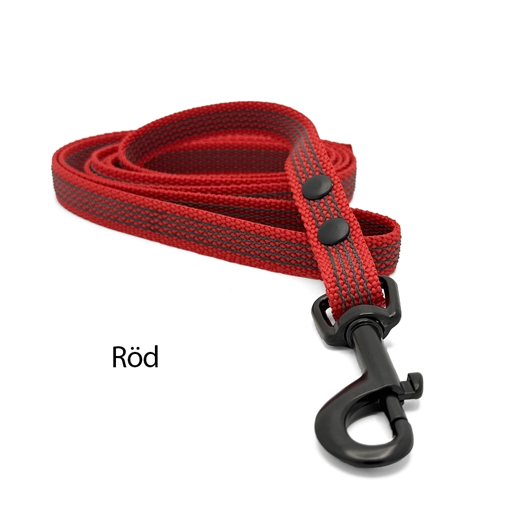 Dog leash long line for dog