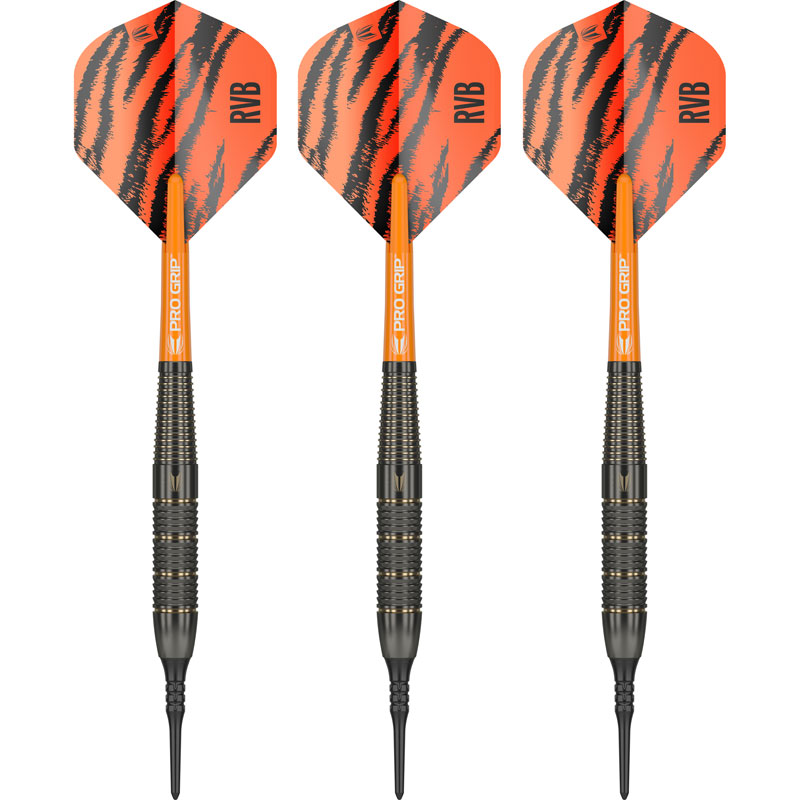 Target Raymond van Barneveld Brass SOFTTIP 18g