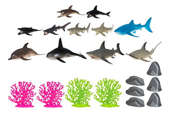 Sea animals in bag