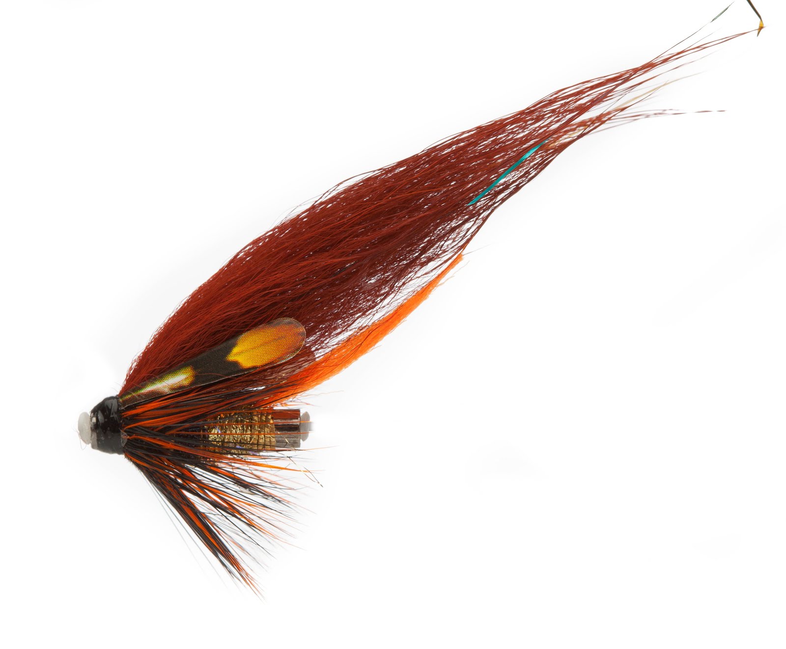 Phatakorva Brown/Orange/Blue US-Tube