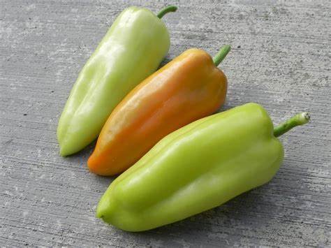 Paprika Gypsy Mini  F1 5  frö