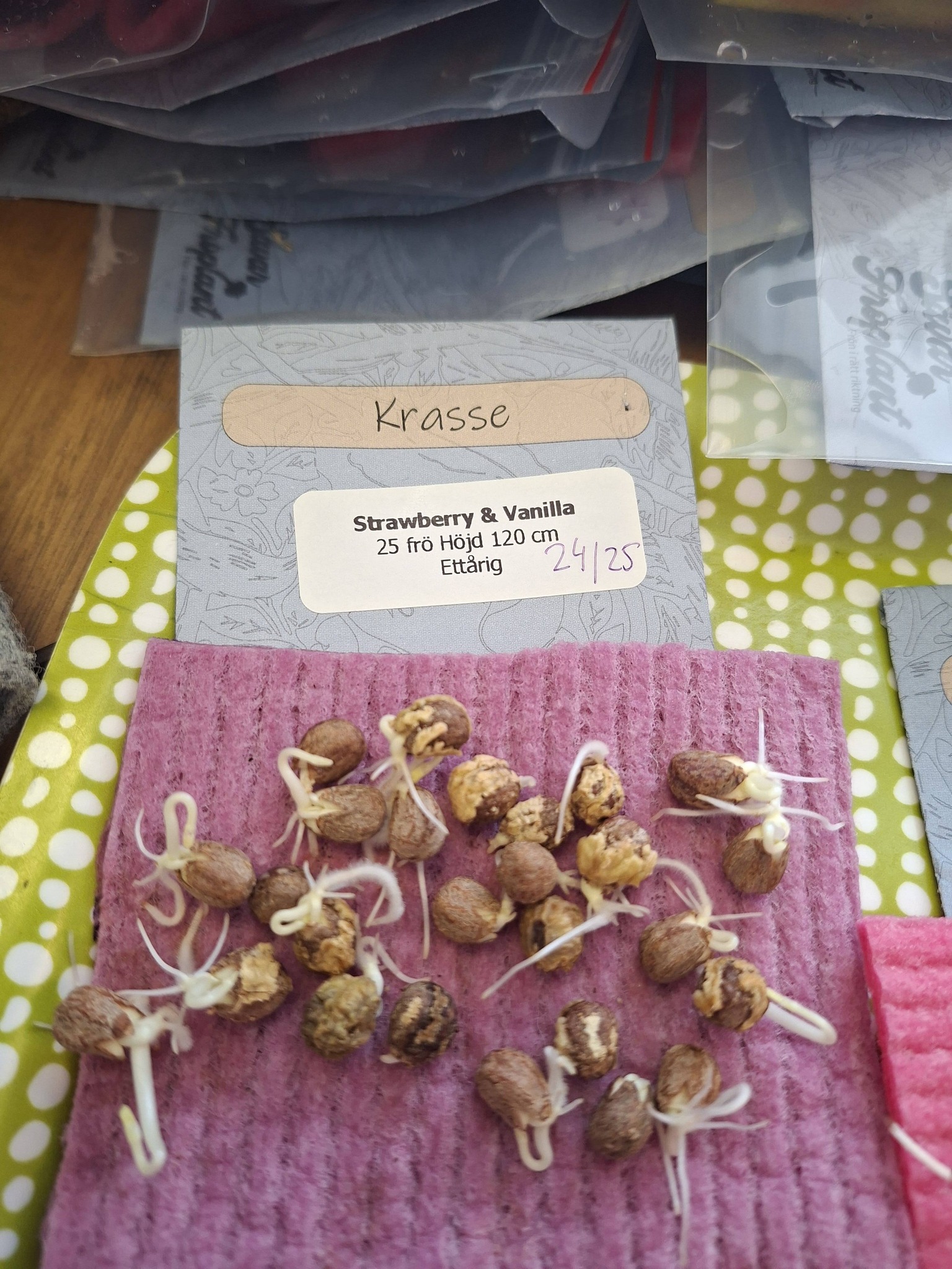Krasse Strawberry & Vanilla 25 Frö - 2