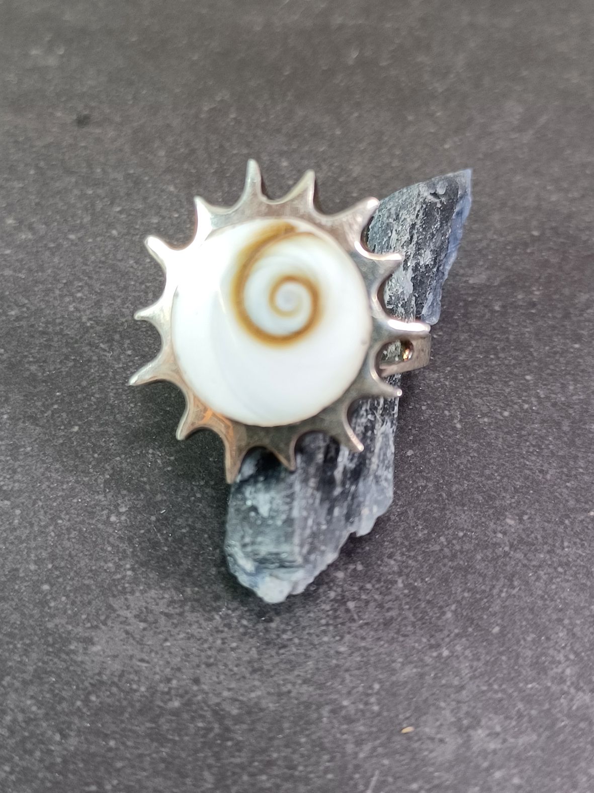 Shivas öga snäcka ring 