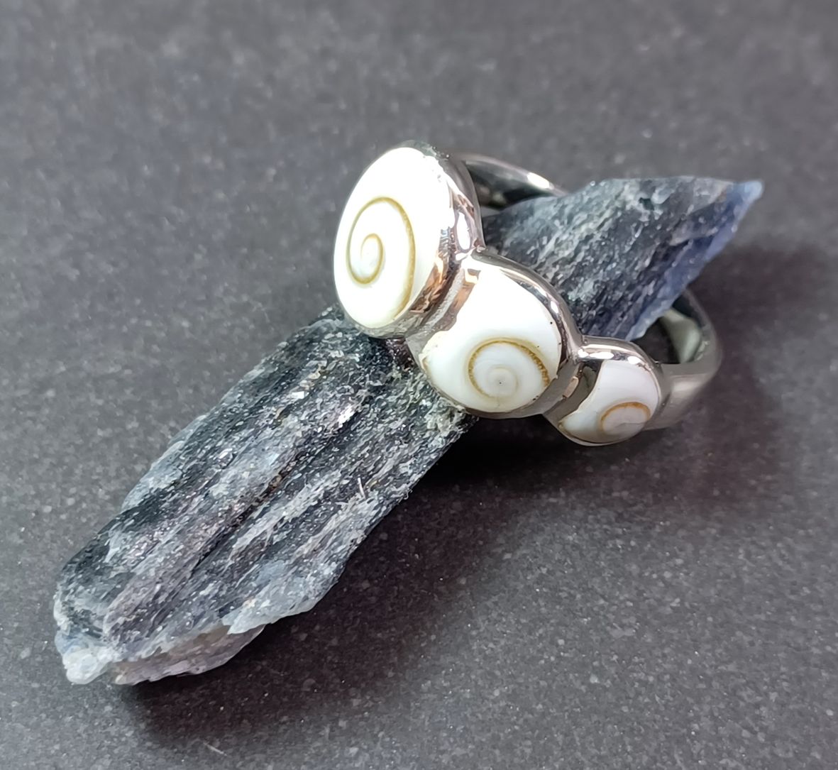 Shivas öga snäcka ring