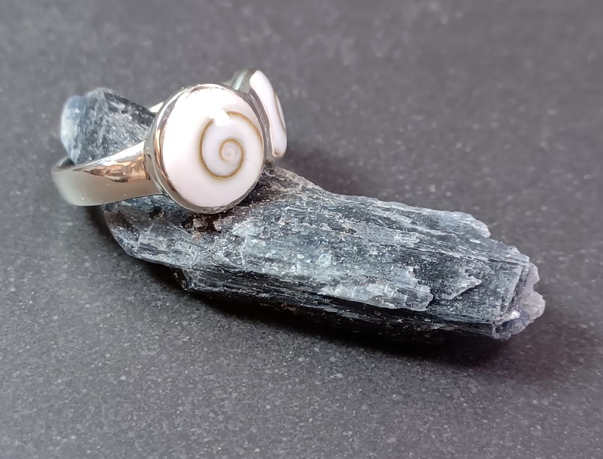 Shivas öga snäcka ring